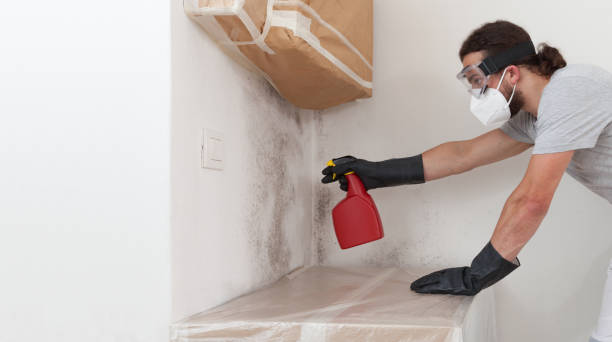 Professional Mold Removal technician working in Riva, MD
